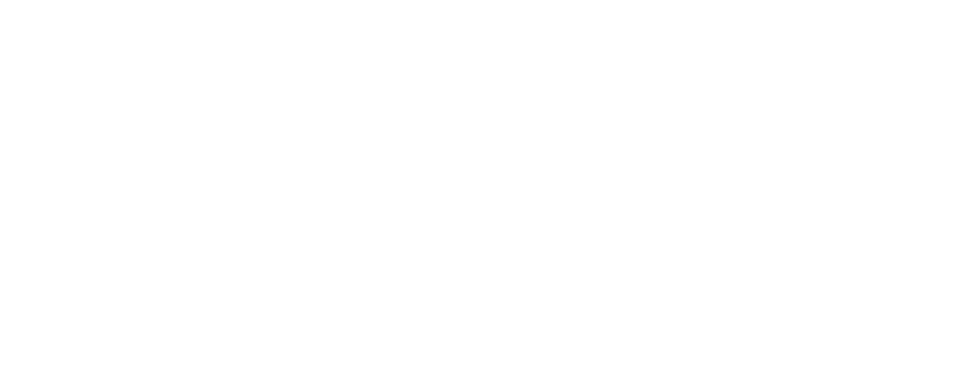 VIP Logo